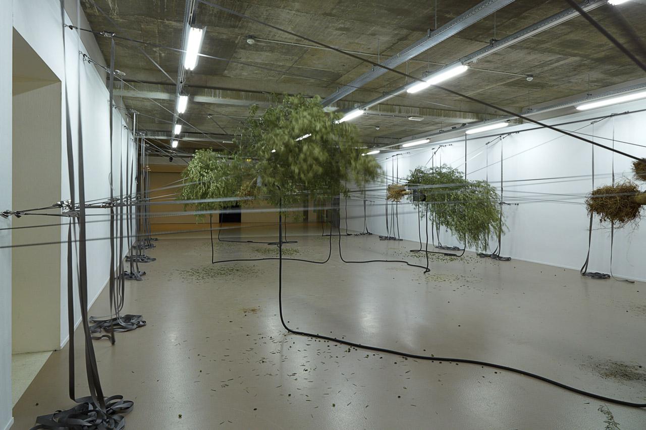 Sensory Spaces 5 - Siobhán Hapaska